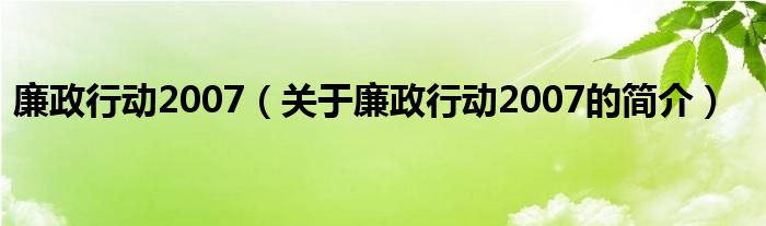 廉政行动2007（关于廉政行动2007的简介）