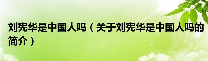 刘宪华是中国人吗（关于刘宪华是中国人吗的简介）