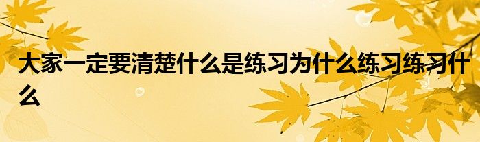 大家一定要清楚什么是练习为什么练习练习什么