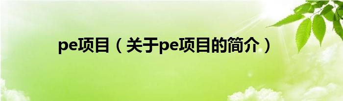 pe项目（关于pe项目的简介）