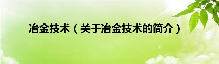 冶金技术（关于冶金技术的简介）