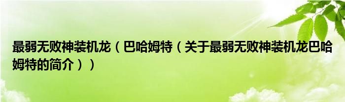 最弱无败神装机龙（巴哈姆特（关于最弱无败神装机龙巴哈姆特的简介））