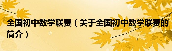 全国初中数学联赛（关于全国初中数学联赛的简介）