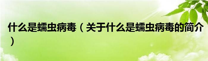 什么是蠕虫病毒（关于什么是蠕虫病毒的简介）