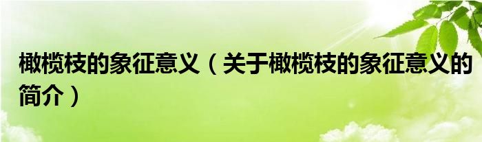 橄榄枝的象征意义（关于橄榄枝的象征意义的简介）