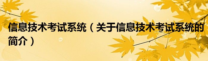 信息技术考试系统（关于信息技术考试系统的简介）