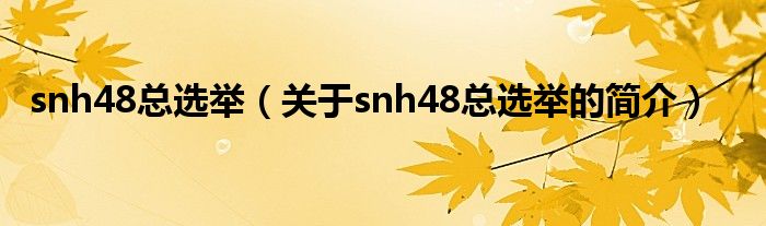 snh48总选举（关于snh48总选举的简介）