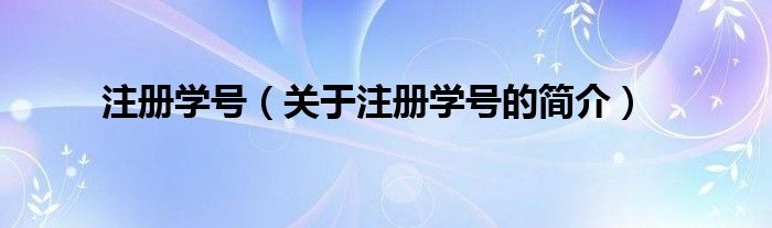 注册学号（关于注册学号的简介）