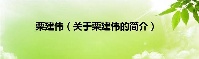 栗建伟（关于栗建伟的简介）