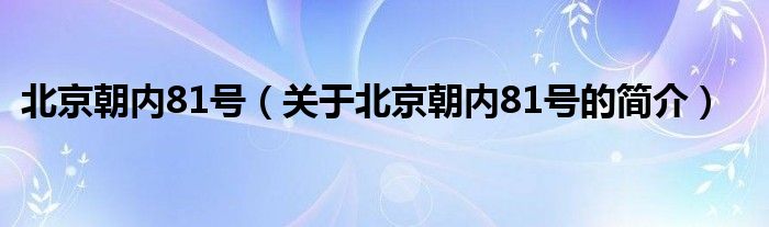 北京朝内81号（关于北京朝内81号的简介）