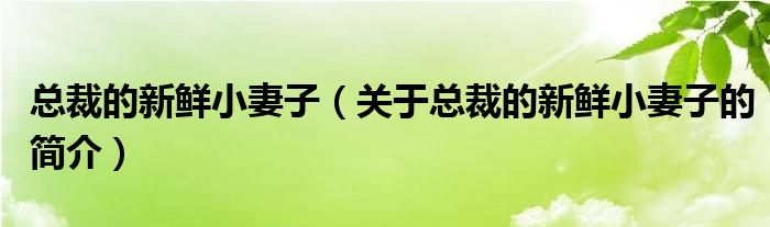 总裁的新鲜小妻子（关于总裁的新鲜小妻子的简介）