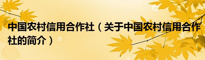 中国农村信用合作社（关于中国农村信用合作社的简介）