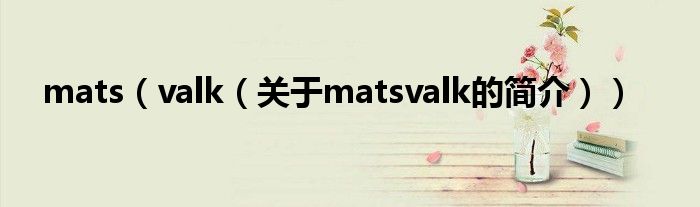 mats（valk（关于matsvalk的简介））