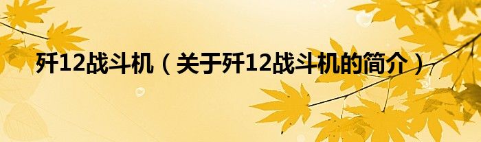 歼12战斗机（关于歼12战斗机的简介）