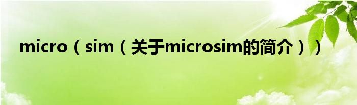 micro（sim（关于microsim的简介））