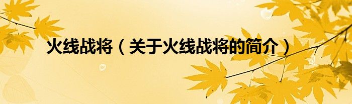 火线战将（关于火线战将的简介）