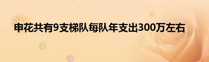 申花共有9支梯队每队年支出300万左右