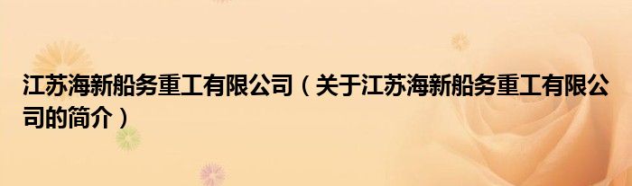 江苏海新船务重工有限公司（关于江苏海新船务重工有限公司的简介）