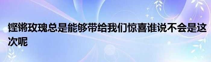 铿锵玫瑰总是能够带给我们惊喜谁说不会是这次呢