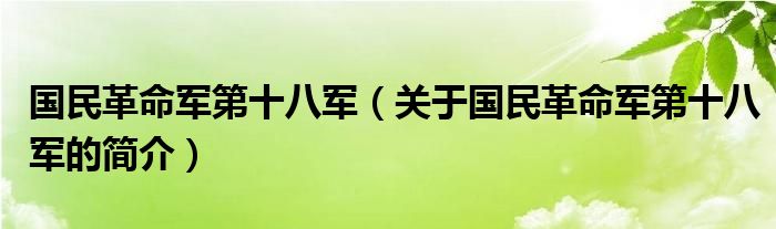 国民革命军第十八军（关于国民革命军第十八军的简介）