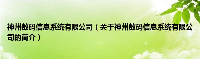 神州数码信息系统有限公司（关于神州数码信息系统有限公司的简介）