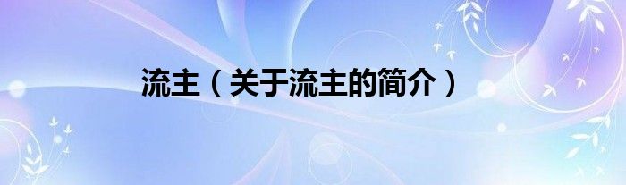 流主（关于流主的简介）