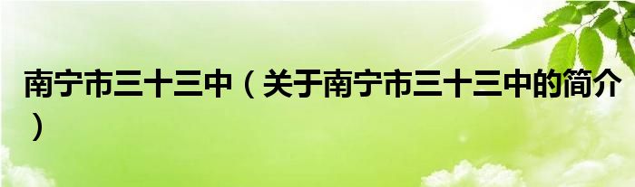 南宁市三十三中（关于南宁市三十三中的简介）