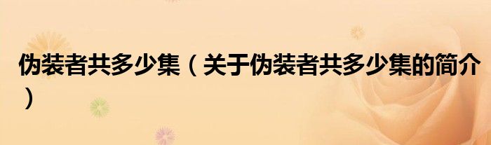 伪装者共多少集（关于伪装者共多少集的简介）