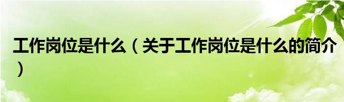 工作岗位是什么（关于工作岗位是什么的简介）