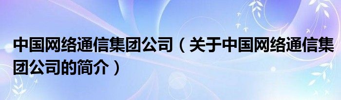 中国网络通信集团公司（关于中国网络通信集团公司的简介）