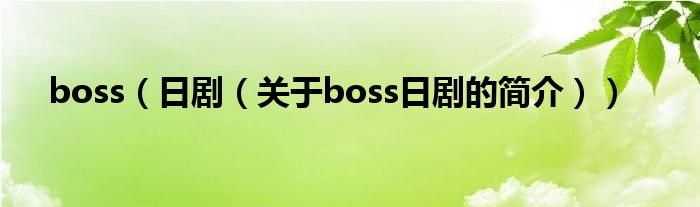 boss（日剧（关于boss日剧的简介））