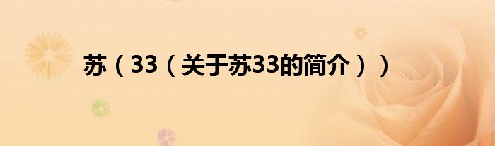 苏（33（关于苏33的简介））