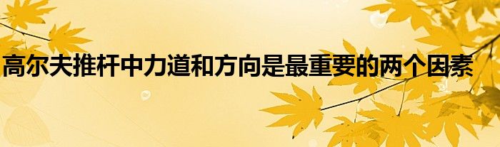 高尔夫推杆中力道和方向是最重要的两个因素