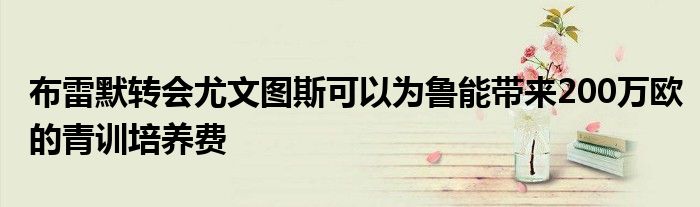 布雷默转会尤文图斯可以为鲁能带来200万欧的青训培养费