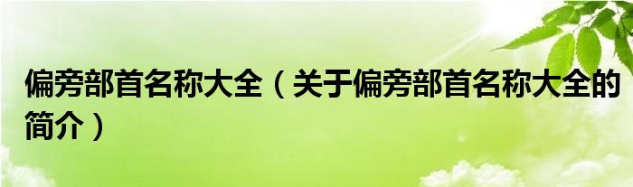 偏旁部首名称大全（关于偏旁部首名称大全的简介）