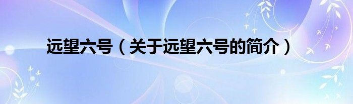 远望六号（关于远望六号的简介）