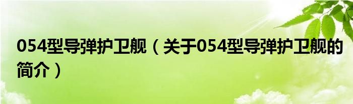 054型导弹护卫舰（关于054型导弹护卫舰的简介）