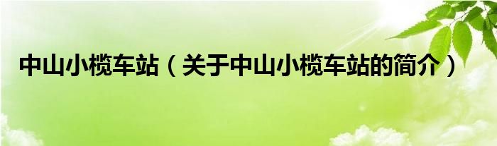 中山小榄车站（关于中山小榄车站的简介）