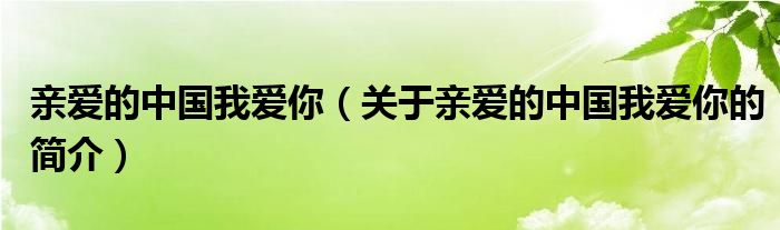 亲爱的中国我爱你（关于亲爱的中国我爱你的简介）