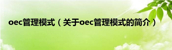 oec管理模式（关于oec管理模式的简介）