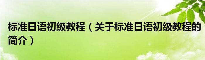 标准日语初级教程（关于标准日语初级教程的简介）