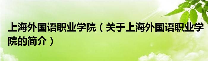 上海外国语职业学院（关于上海外国语职业学院的简介）