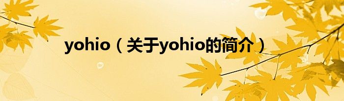 yohio（关于yohio的简介）