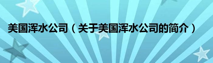 美国浑水公司（关于美国浑水公司的简介）