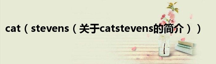 cat（stevens（关于catstevens的简介））