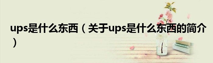 ups是什么东西（关于ups是什么东西的简介）