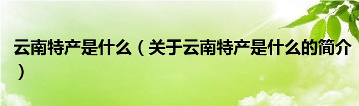 云南特产是什么（关于云南特产是什么的简介）