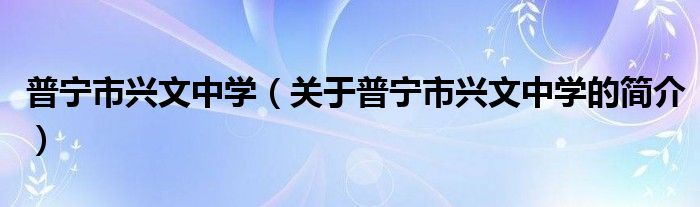 普宁市兴文中学（关于普宁市兴文中学的简介）