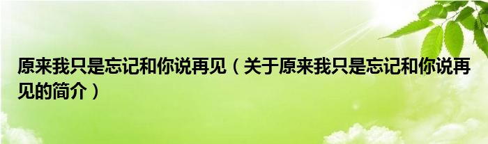 原来我只是忘记和你说再见（关于原来我只是忘记和你说再见的简介）