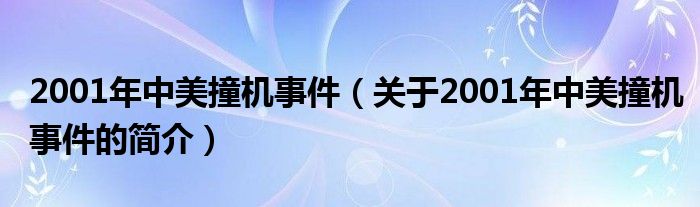 2001年中美撞机事件（关于2001年中美撞机事件的简介）